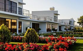 Cosmopolis Multi-Venue